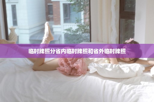 临时牌照分省内临时牌照和省外临时牌照