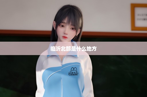 临沂北部是什么地方