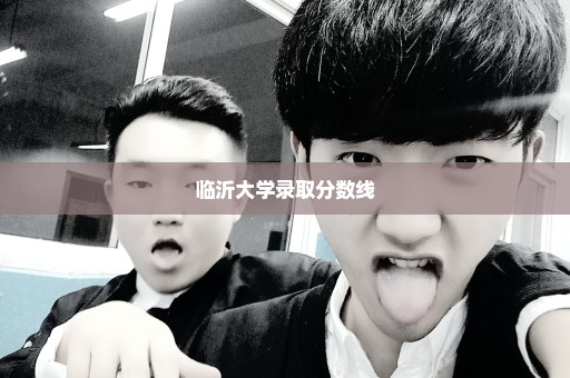 临沂大学录取分数线