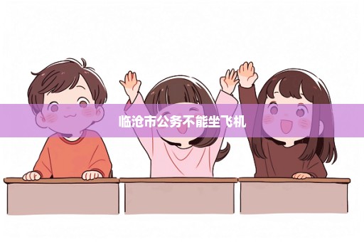临沧市公务不能坐飞机