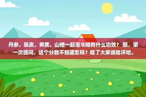 丹参，陈皮，黄芪，山楂一起泡水喝有什么功效？ 额，第一次提问，这个分数不知道怎样？低了大家请批评哈。