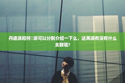 丹道派和符箓派可以分别介绍一下么，这两派有没有什么关联呢?