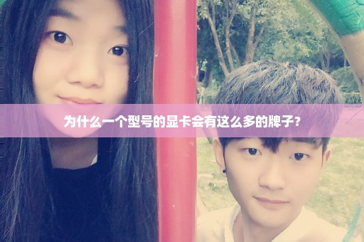 为什么一个型号的显卡会有这么多的牌子？
