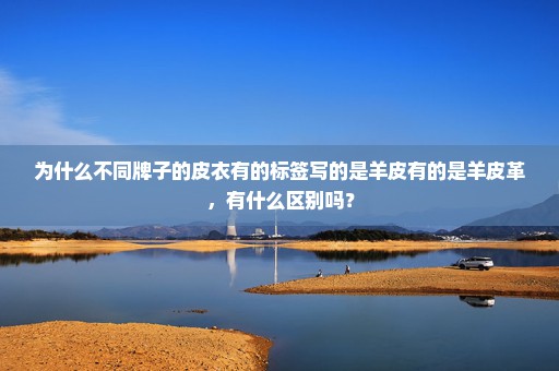 为什么不同牌子的皮衣有的标签写的是羊皮有的是羊皮革，有什么区别吗？
