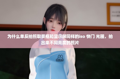 为什么单反拍照取景框和显示屏同样的iso 快门 光圈，拍出来不同亮度的照片