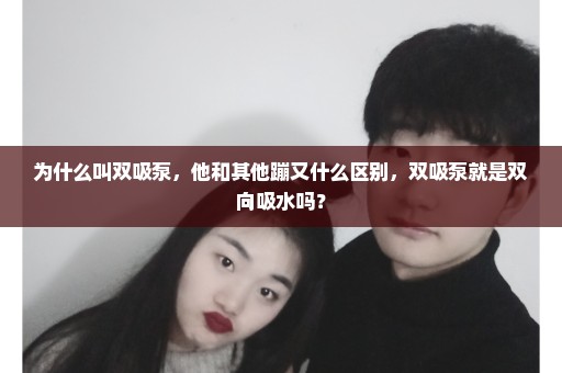 为什么叫双吸泵，他和其他蹦又什么区别，双吸泵就是双向吸水吗？