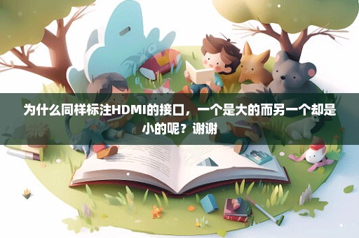 为什么同样标注HDMI的接口，一个是大的而另一个却是小的呢？谢谢