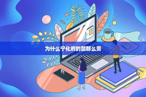 为什么宁化府的醋那么贵