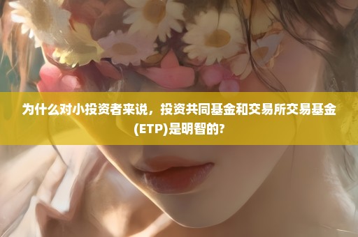 为什么对小投资者来说，投资共同基金和交易所交易基金(ETP)是明智的?