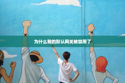 为什么我的默认网关被禁用了