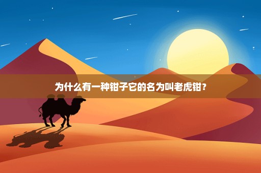 为什么有一种钳子它的名为叫老虎钳？