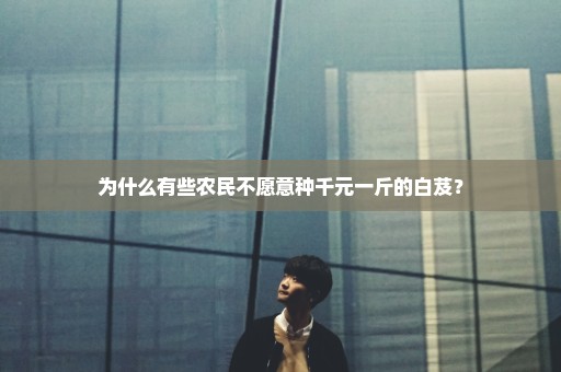 为什么有些农民不愿意种千元一斤的白芨？
