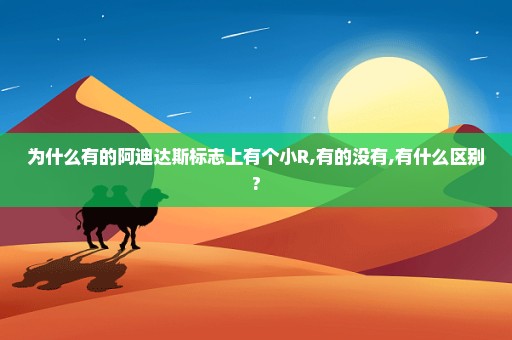 为什么有的阿迪达斯标志上有个小R,有的没有,有什么区别?