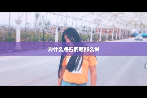 为什么点石的笔那么贵