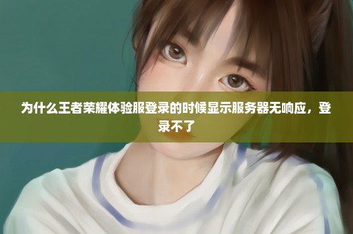 为什么王者荣耀体验服登录的时候显示服务器无响应，登录不了