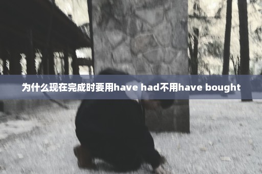 为什么现在完成时要用have had不用have bought