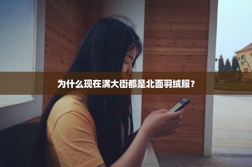 为什么现在满大街都是北面羽绒服？