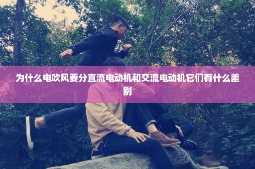 为什么电吹风要分直流电动机和交流电动机它们有什么差别