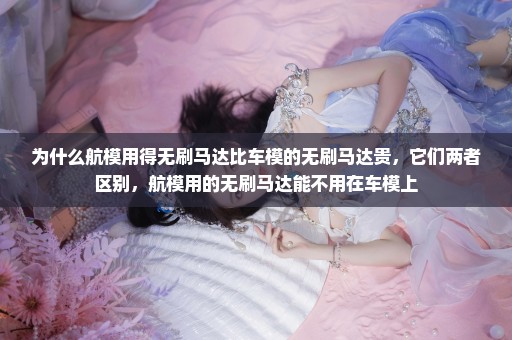 为什么航模用得无刷马达比车模的无刷马达贵，它们两者区别，航模用的无刷马达能不用在车模上