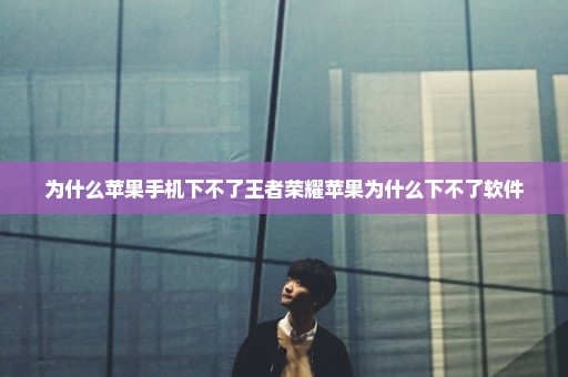为什么苹果手机下不了王者荣耀苹果为什么下不了软件