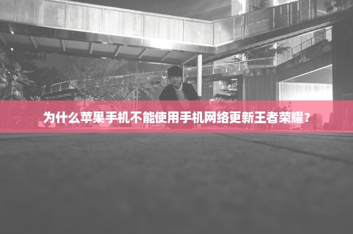 为什么苹果手机不能使用手机网络更新王者荣耀？