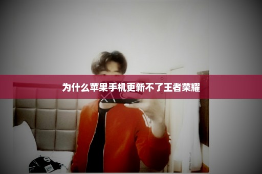 为什么苹果手机更新不了王者荣耀
