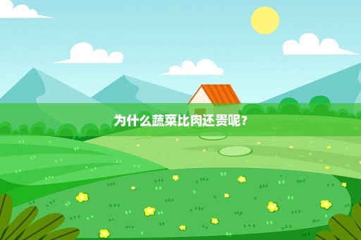 为什么蔬菜比肉还贵呢？