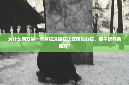 为什么西安的一些高校选择在长安区设分校，而不是其他地方？