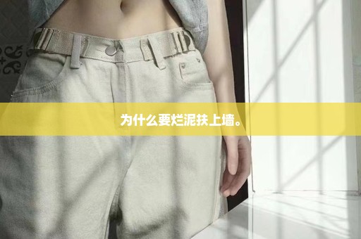 为什么要烂泥扶上墙。