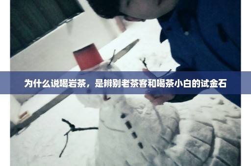 为什么说喝岩茶，是辨别老茶客和喝茶小白的试金石