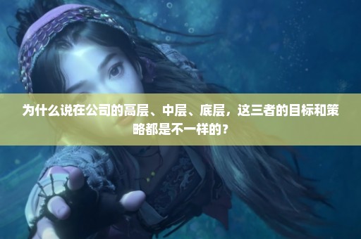 为什么说在公司的高层、中层、底层，这三者的目标和策略都是不一样的？