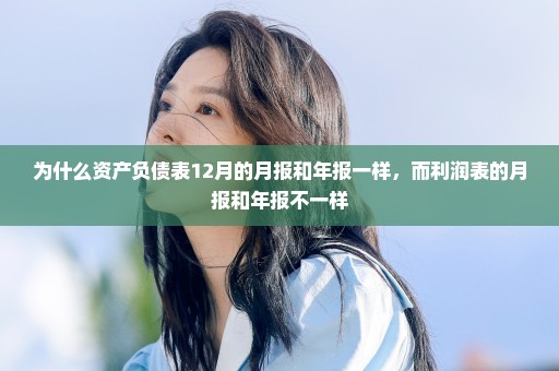 为什么资产负债表12月的月报和年报一样，而利润表的月报和年报不一样