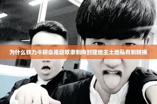 为什么铁力牛耕会推动奴隶制向封建地主土地私有制转换