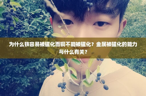 为什么铁容易被磁化而铜不能被磁化？金属被磁化的能力与什么有关？