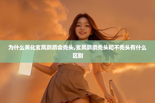 为什么黄化玄凤鹦鹉会秃头,玄凤鹦鹉秃头和不秃头有什么区别