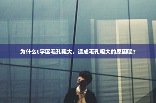 为什么t字区毛孔粗大，造成毛孔粗大的原因呢？