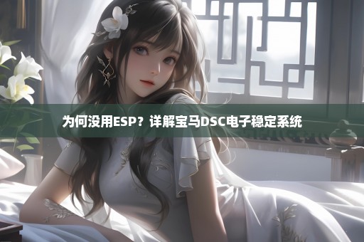 为何没用ESP？详解宝马DSC电子稳定系统