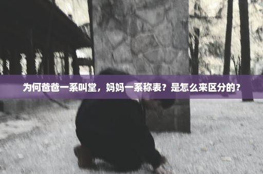 为何爸爸一系叫堂，妈妈一系称表？是怎么来区分的？