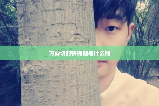 为剪切的快捷键是什么键