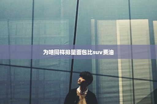 为啥同样排量面包比suv费油