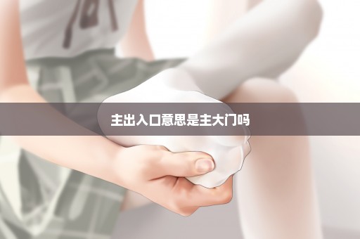 主出入口意思是主大门吗