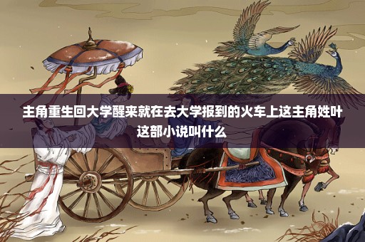 主角重生回大学醒来就在去大学报到的火车上这主角姓叶这部小说叫什么