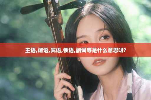 主语,谓语,宾语,惯语,副词等是什么意思呀?