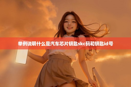 举例说明什么是汽车芯片钥匙skc码和钥匙id号