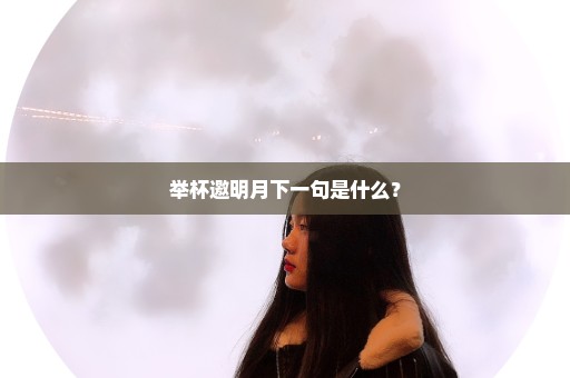 举杯邀明月下一句是什么？