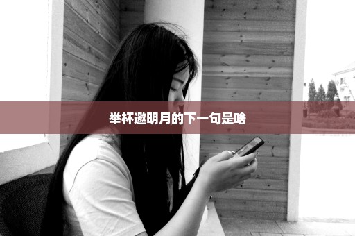 举杯邀明月的下一句是啥