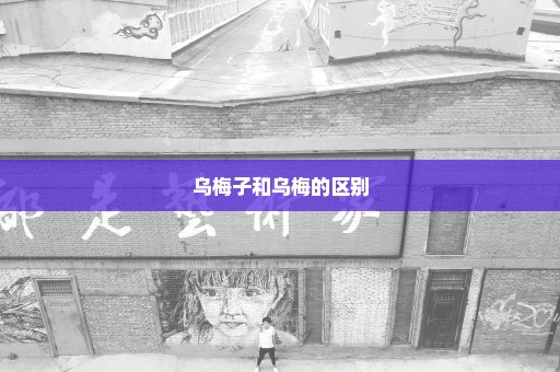 乌梅子和乌梅的区别