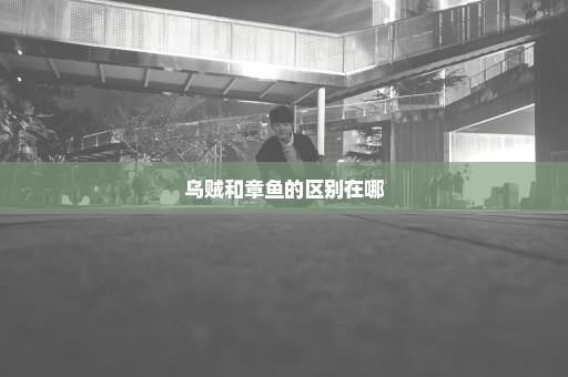 乌贼和章鱼的区别在哪
