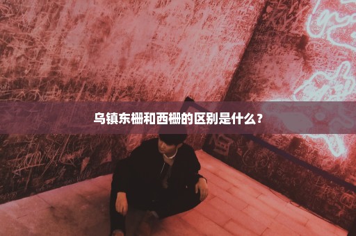 乌镇东栅和西栅的区别是什么？