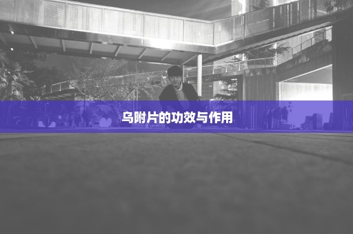 乌附片的功效与作用